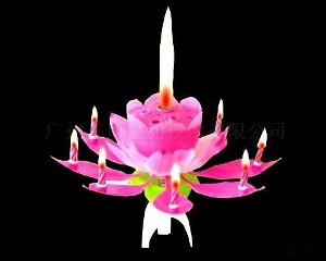 Magic Flower candle
