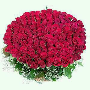 50 Red Roses