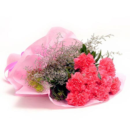 10 Carnations Pink
